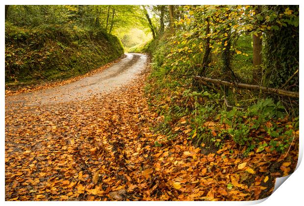 Autumnal Devon country lane Print by Tony Twyman
