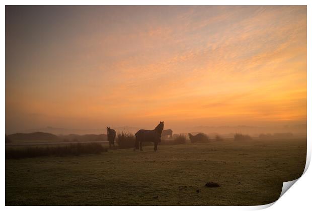 Misty Sunrise at Northam Burrows in North Devon Print by Tony Twyman