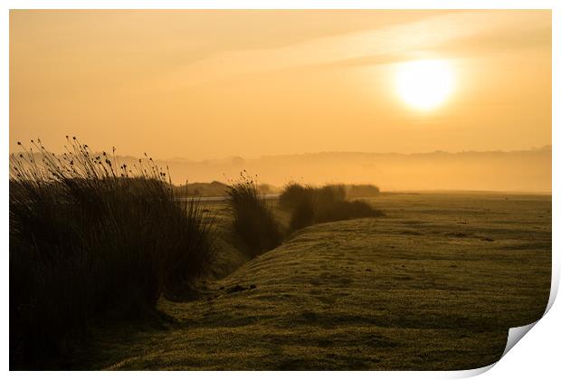 Misty winter sunrise Print by Tony Twyman