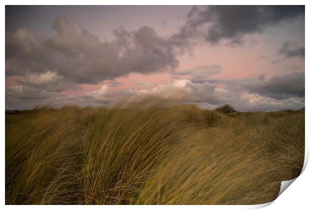 Instow beach dunes at sunset Print by Tony Twyman