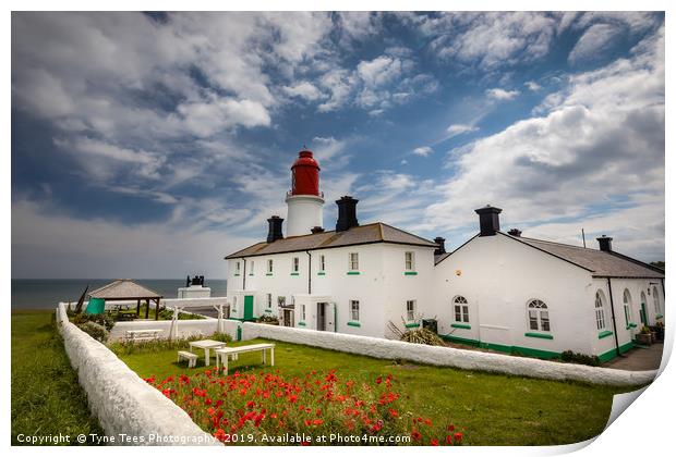 Poppies at Souter Lighthouse Print by Tyne Tees Photography