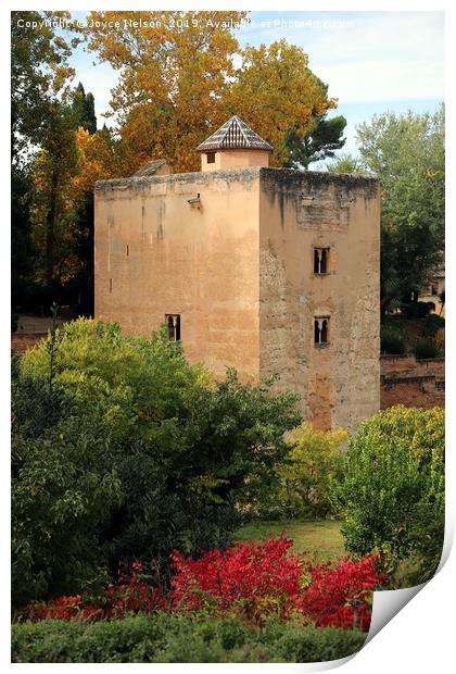  Mondragon Palace gardens Ronda, Spain Print by Joyce Nelson