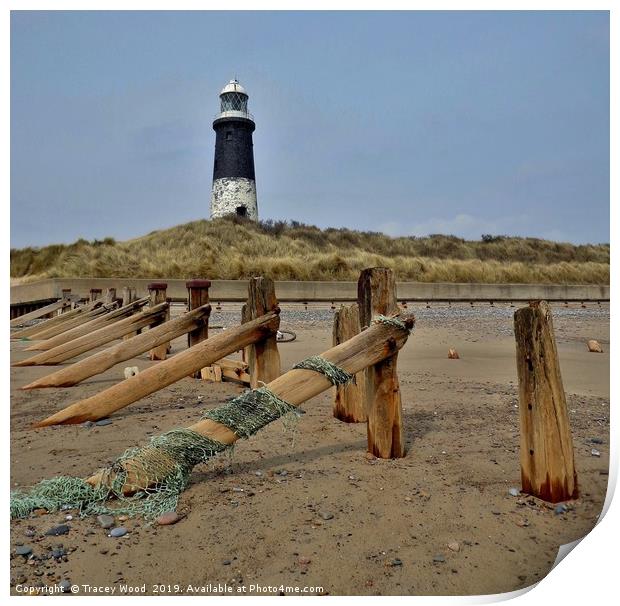 Spurn Point Lighthouse                             Print by Tracey Wood