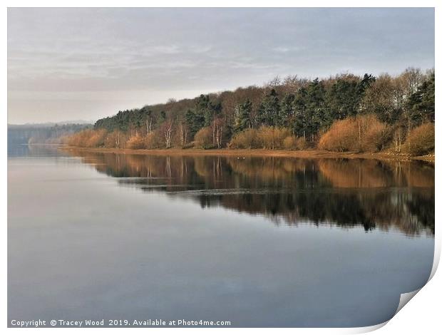 Eccup reservoir ,reflections Print by Tracey Wood
