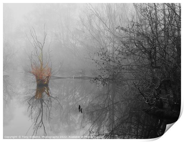 Misty morning by the lake Print by Tony Williams. Photography email tony-williams53@sky.com