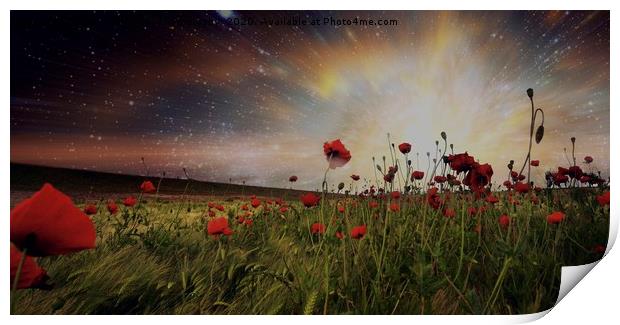 Poppy Fields Print by Tony Williams. Photography email tony-williams53@sky.com