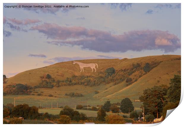 Golden light on the Westbury white horse Print by Duncan Savidge