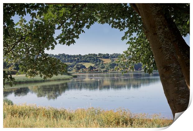 Chew Valley Lake framed in the summer Print by Duncan Savidge
