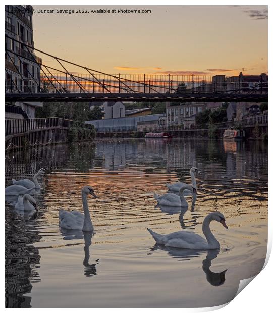 Swans at sunset along the River Avon Bath Print by Duncan Savidge