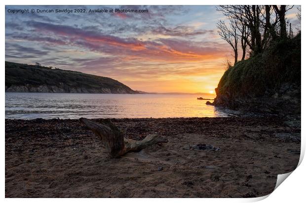 Driftwood sunrise at Maenporth Print by Duncan Savidge