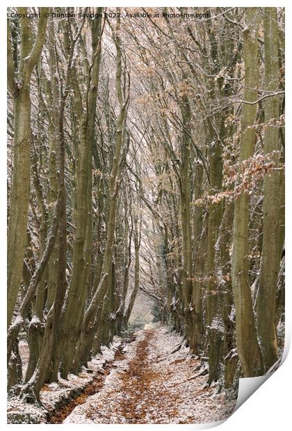 Haycombe Bath tree tunnel Print by Duncan Savidge