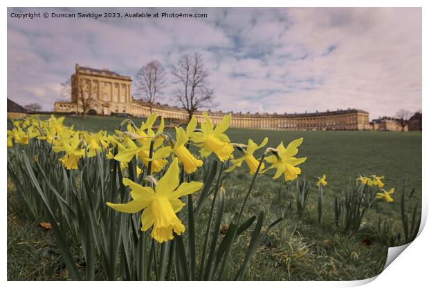 Daffodils at the Royal Crescent Bath landscape  Print by Duncan Savidge