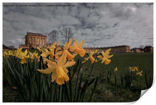 Daffodils at the Royal Crescent Bath cinematic edit  Print by Duncan Savidge