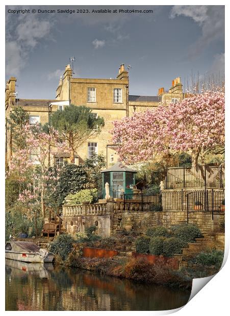 Widcombe Bath in the spring  Print by Duncan Savidge
