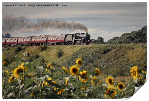 Steam trains and sunflower fields  Print by Duncan Savidge