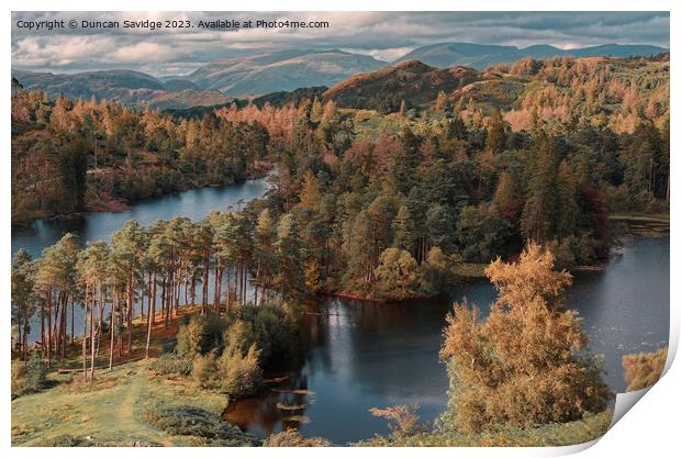 Tarn Hows from high up Print by Duncan Savidge