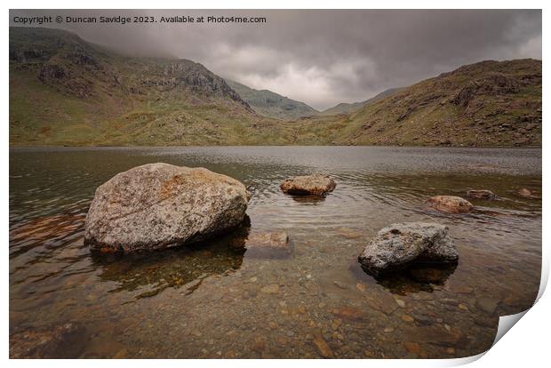 Levers water Coniston Print by Duncan Savidge