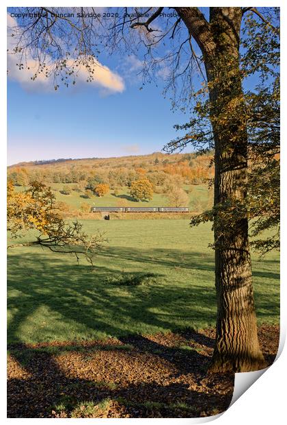 Autumn sprinter train in the landscape Print by Duncan Savidge