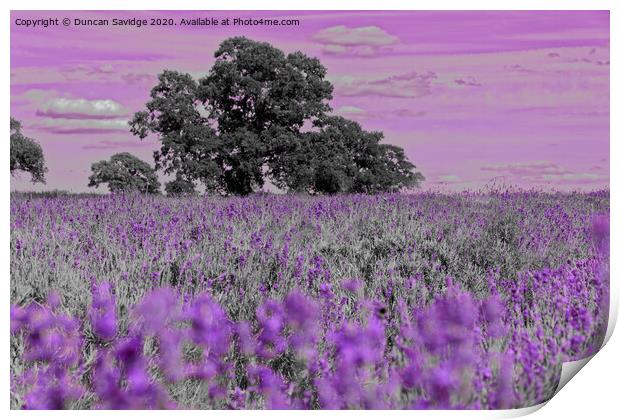 Artistic lavender farm Print by Duncan Savidge