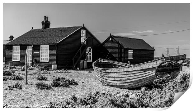 Prospect Cottage Dungeness Print by Adrian Rowley