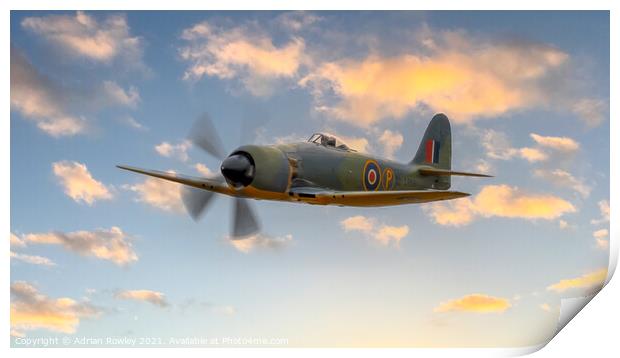 Hawker Sea Fury Print by Adrian Rowley