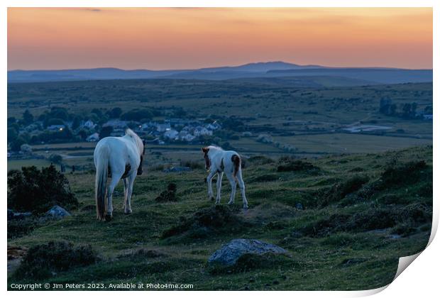 Mother and foal on Bodmin more looking towards brown willy  Print by Jim Peters