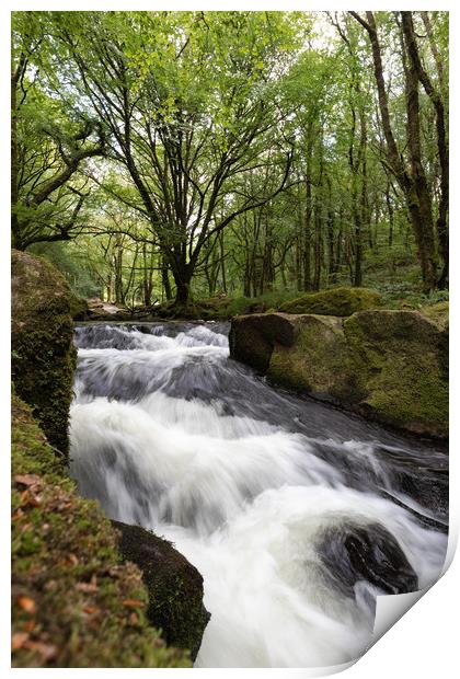 Golitha Falls in Draynes wood Bodmin Moor Print by Jim Peters