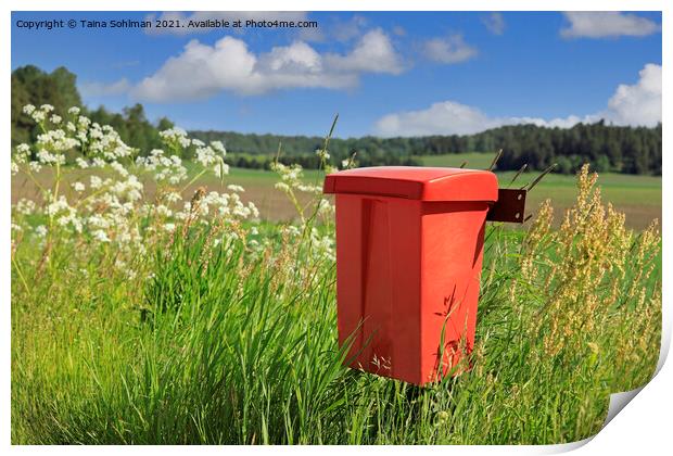 Red Mailbox in the Country Print by Taina Sohlman