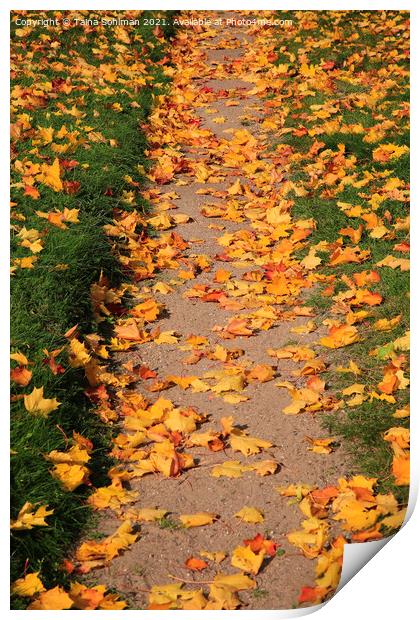 Footpath with Fallen Leaves Print by Taina Sohlman