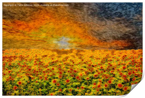 Fiery Sunrise over Sunflower Field  Print by Taina Sohlman