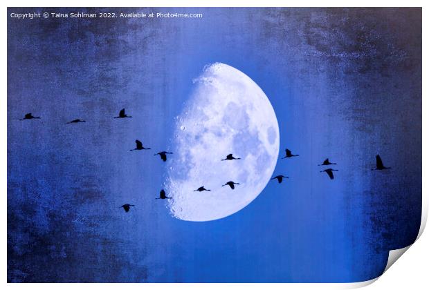 The Moon Sees Cranes Leave 2 Print by Taina Sohlman