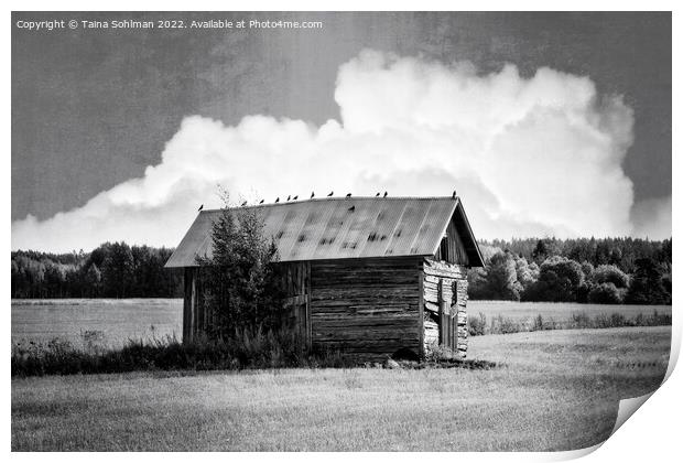 Small Rural Barn with Birds Black and White Print by Taina Sohlman