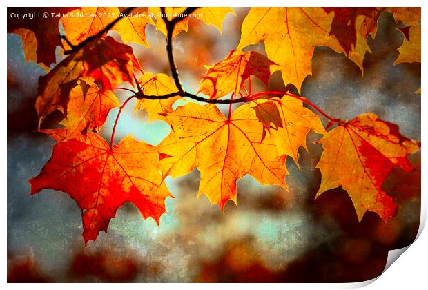 Colorful Maple Leaves in Autumn Digital Art Print by Taina Sohlman
