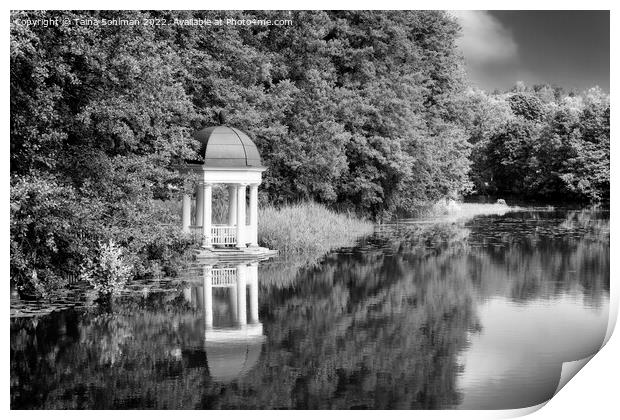 Gazebo by the River Black and White Print by Taina Sohlman