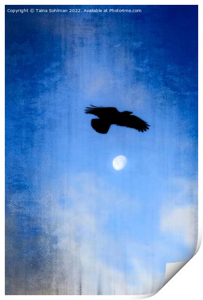 Hooded Crow's Night Flight  Print by Taina Sohlman