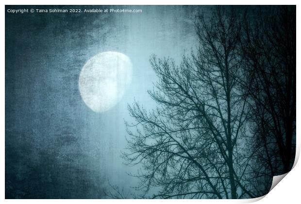 Winter Moon Print by Taina Sohlman