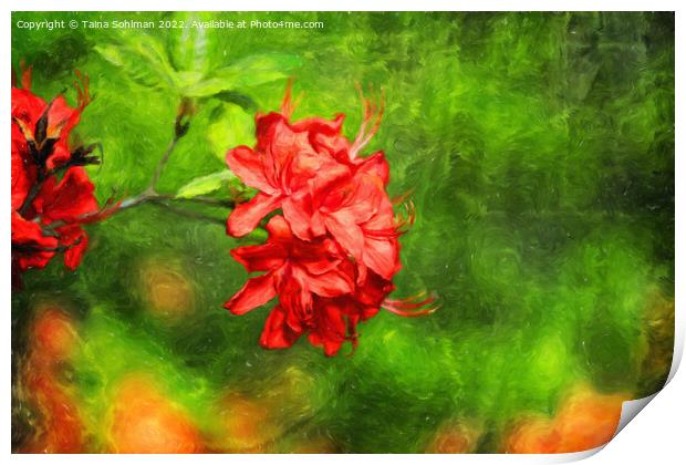 Red Rhododendron Flowers Digital Art Print by Taina Sohlman