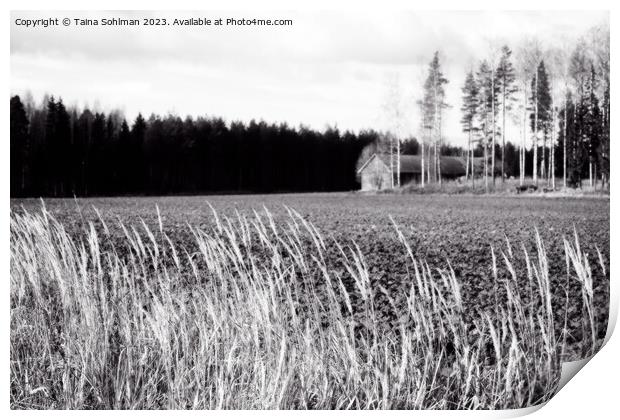 October Country Scene Black and White Print by Taina Sohlman