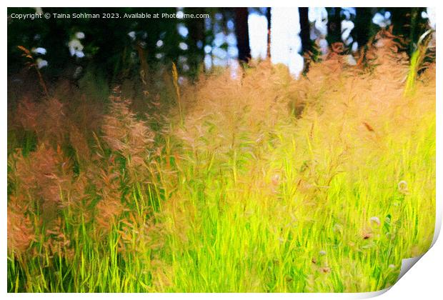 Sunlight on Grass Abstract Print by Taina Sohlman