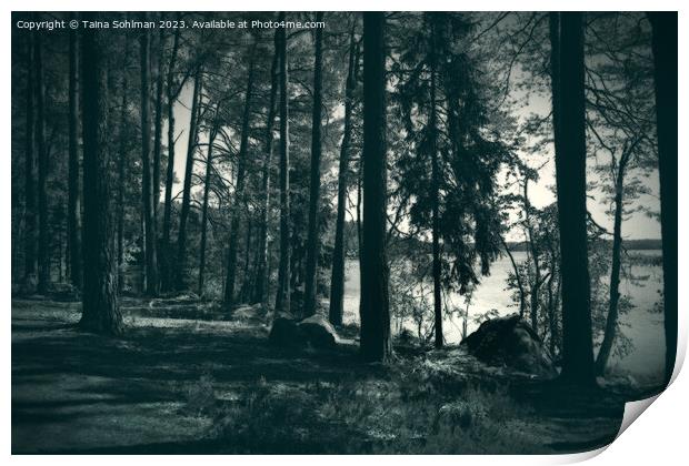 Nightfall at Forest Lake Print by Taina Sohlman