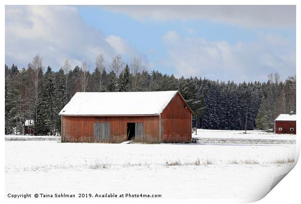 Red Barn in Winter Print by Taina Sohlman