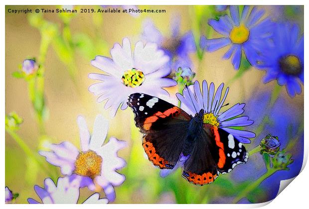 Red Admiral Butterfly on Flowers Print by Taina Sohlman