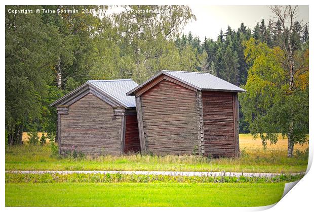 Two Leaning Country Barns Print by Taina Sohlman