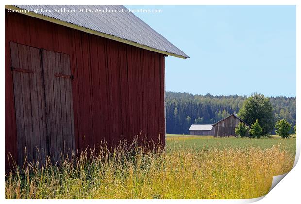 Rural Landscape with Three Barns Print by Taina Sohlman