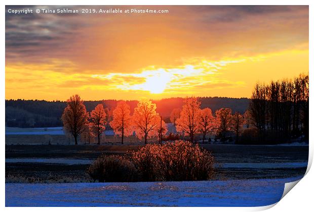 Colours of Winter Sunset Print by Taina Sohlman