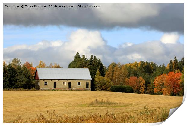October Afternoon in the Country Print by Taina Sohlman