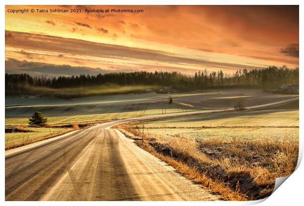 Hazy Rural Road in Winter Golden Hour  Print by Taina Sohlman
