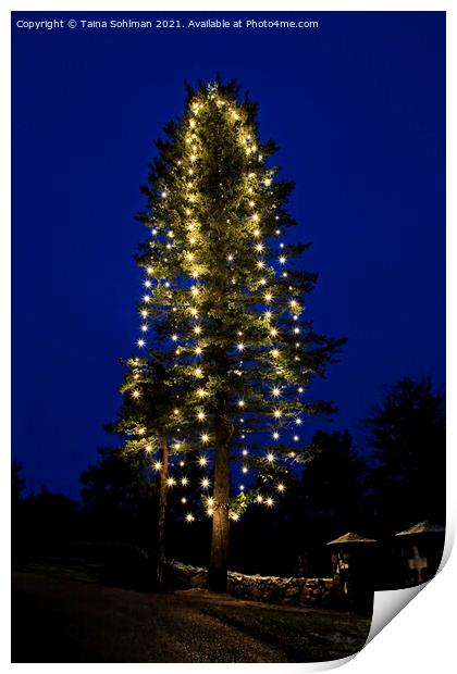 Illuminated Christmas Tree at Blue Hour Print by Taina Sohlman