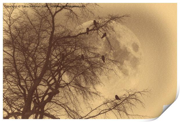 Crows against Full Moon, Old Photo Style  Print by Taina Sohlman