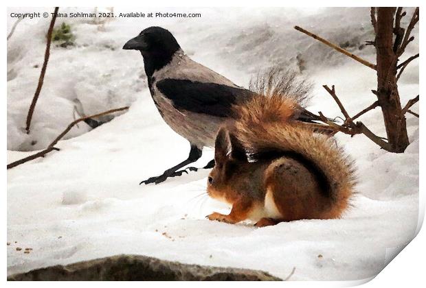 Squirrel, Hooded Crow and Food Print by Taina Sohlman